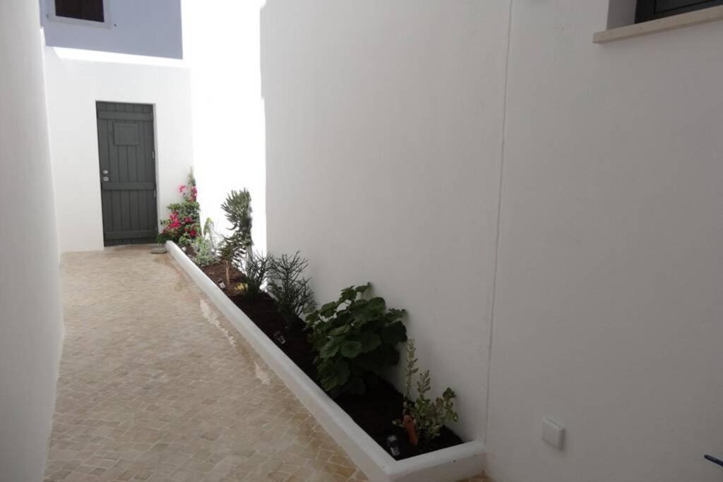 Ti Antonieta Villa Tavira Bagian luar foto