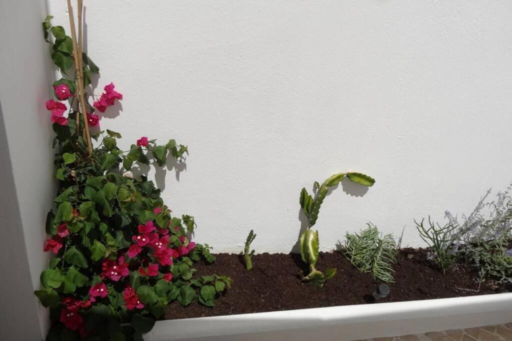 Ti Antonieta Villa Tavira Bagian luar foto
